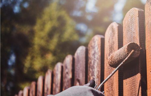 Painting Fence