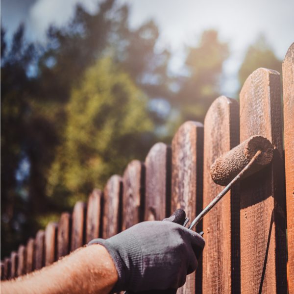 Painting Fence